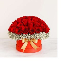 Crimson Cloud – Red Roses & Gypso in Round Box