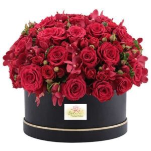 Midnight Bloom – Red Roses in Black Box