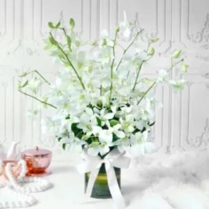 Ivory Reverie – 10 White Orchids