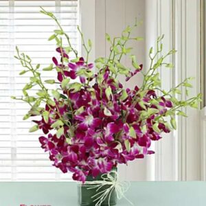 Verdant Blush – 12 Orchid Vase Arrangement