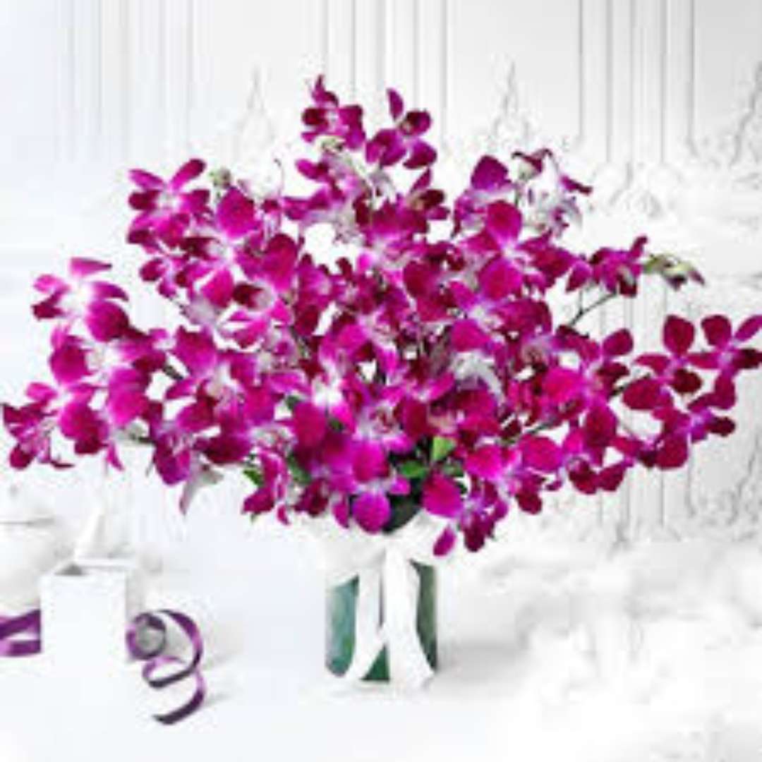 Orchid Tiedream – twenty vivid purple orchid stems