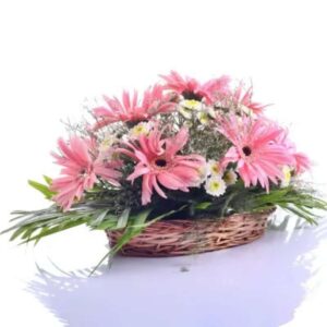 Blush Nest – 12 Pink Gerbera