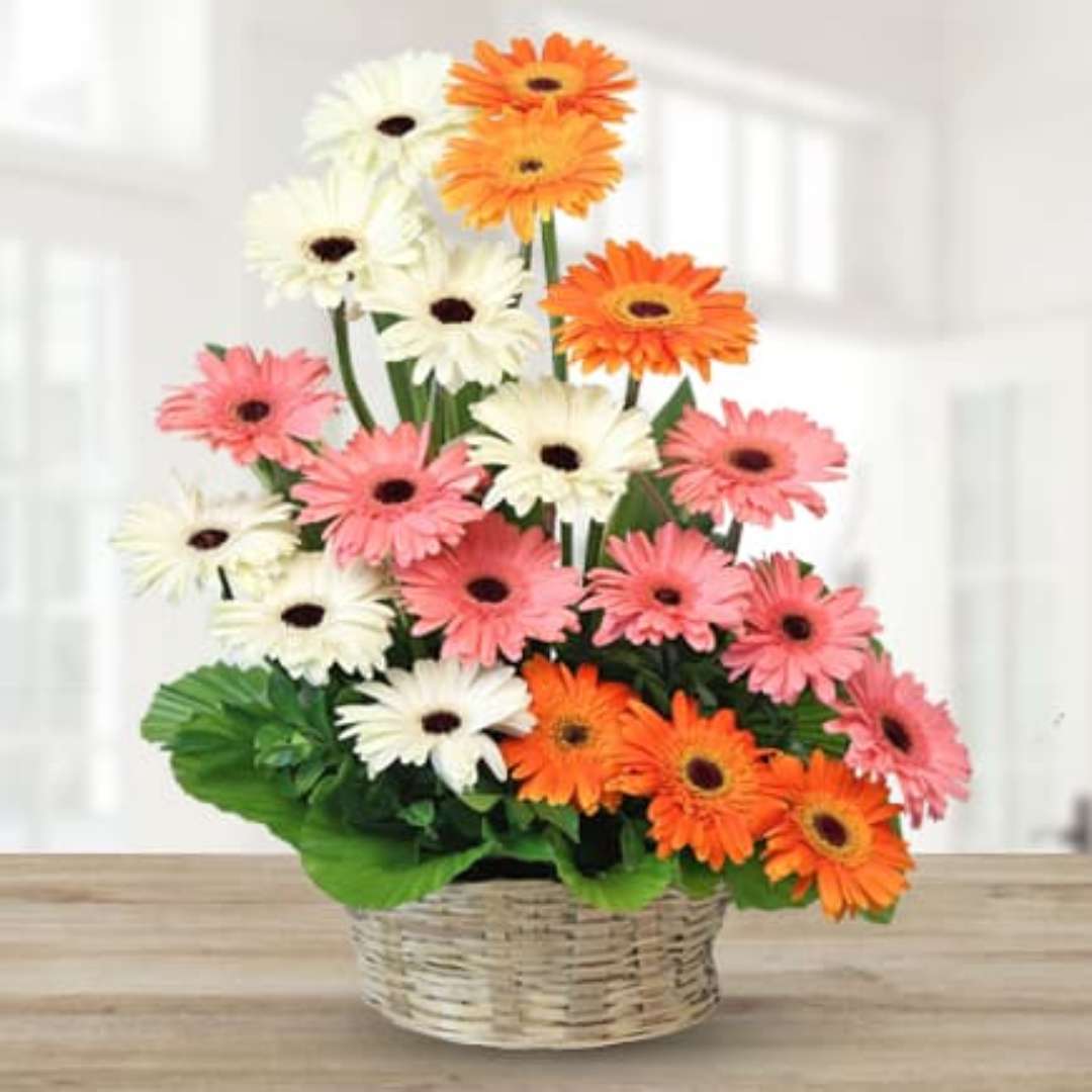 Floral Melange – 20 Mixed Gerbera in Basket