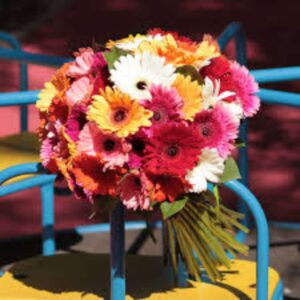Gerbera Grandeur – 51 stems Mix Gerbera handtied bunch