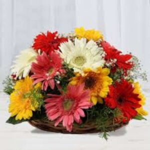 Gerbera Glow Basket – 15 Mix Gerbera in Basket
