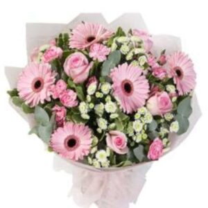 Pink Poise – 15 Pink Gerberas in Coordinated Wrap