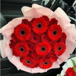 Love in Layers – 8 Red Gerbera & 24 Red Roses in Hand bunch