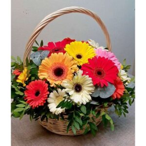 Joyweave – 30 Mix Gerbera’s in Handle Basket