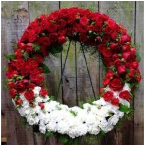 Scarlet & Snow Harmony Wreath