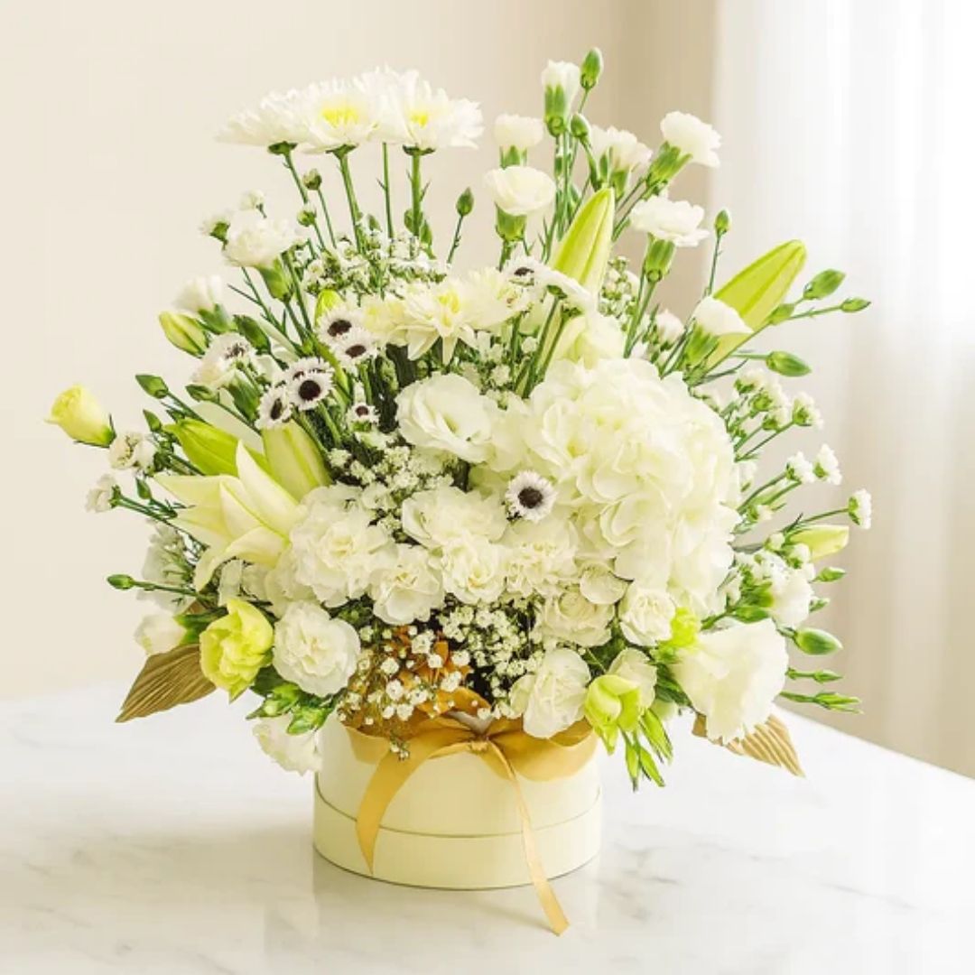 Pure Harmony Bloom Box